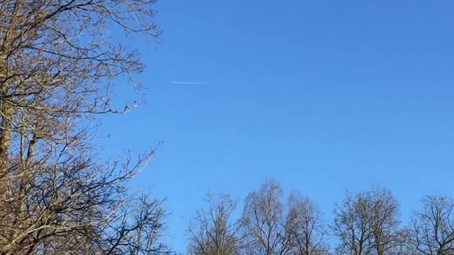 "Катаемся" в Голландских садах Гатчинского парка. 02.05.2017, 18:27 смотреть онлайн