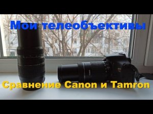Мои телеобъективы. Сравнение Tamron AF 70-300mm и Canon EF-S 55-250mm