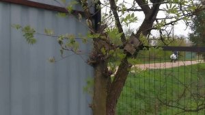 26 апреля. Снежно❄️❄️🥶