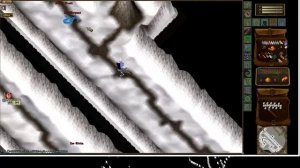 Осквернители могил PVM | Old Oskom UO Shard