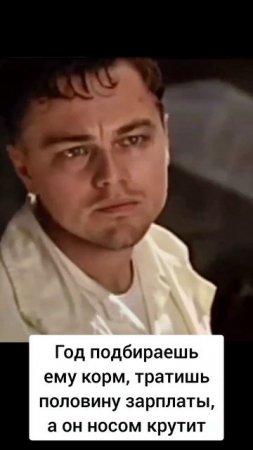 Совесть есть у него? #французькийбульдог #собака #собакаприколы #бульдог