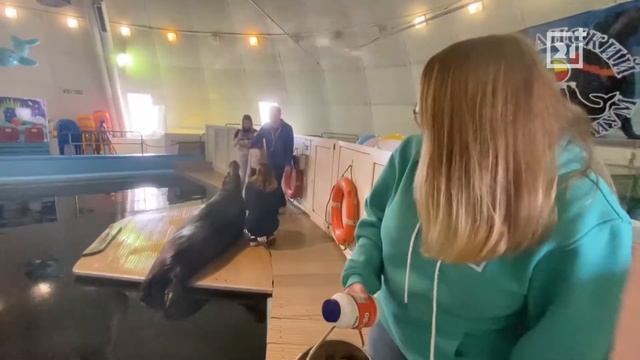 Марафон добрых дел ТВ-21: помогаем Мурманскому океанариуму