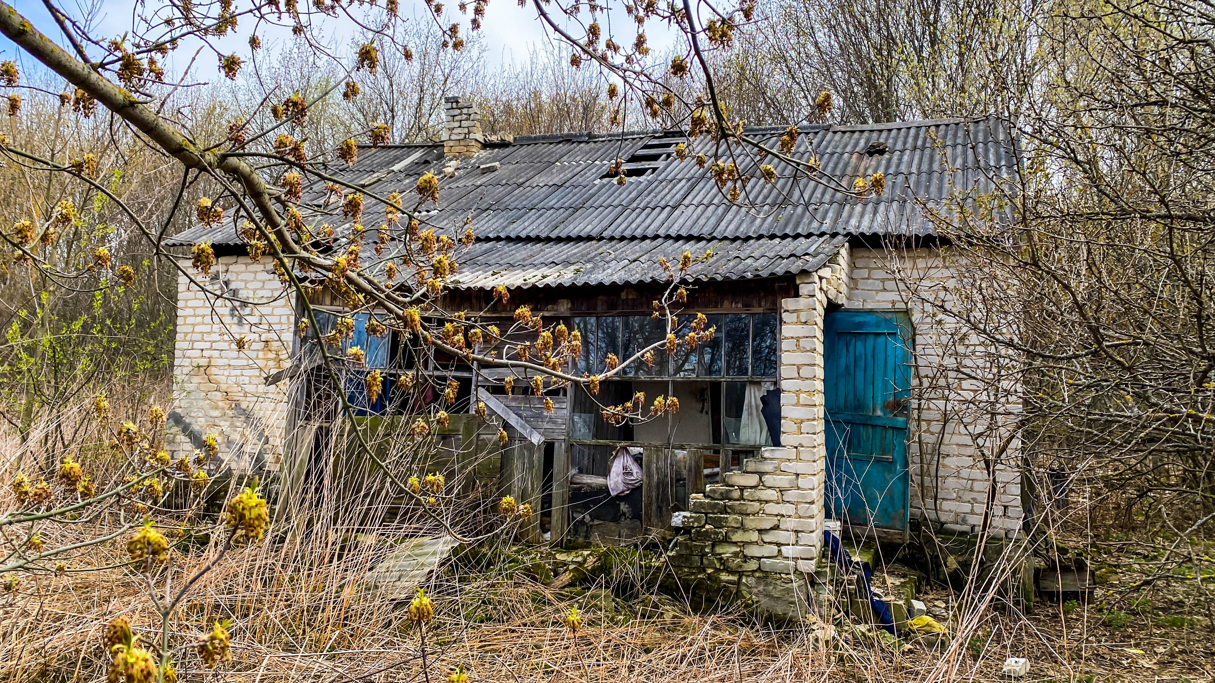 Покинутая людьми деревня, где очень много клещей. Жуткая находка в заброшенном доме смотреть онлайн