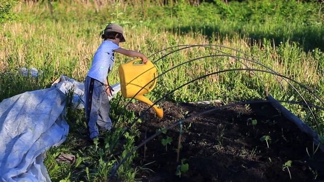 На даче у Василисы Марк поливает огурцы. Лазерная указка смотреть онлайн