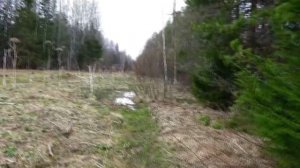 тридцатикилометровая, пешая прогулка