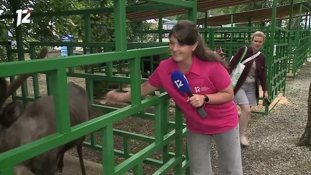 Выставка «АгроОмск—2024» / Новый состав «Авангарда» / Многодетные семьи. Новости Омска смотреть онлайн