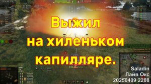 Выжил на хиленьком капилляре. Saladin. Лайв Окс. 20250409 2208.