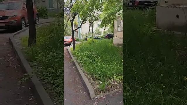 прогулка,город,#жизнь #личныйблог #город