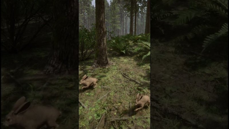 Заяц в Sons of the Forest #shorts #sonsoftheforest #forest