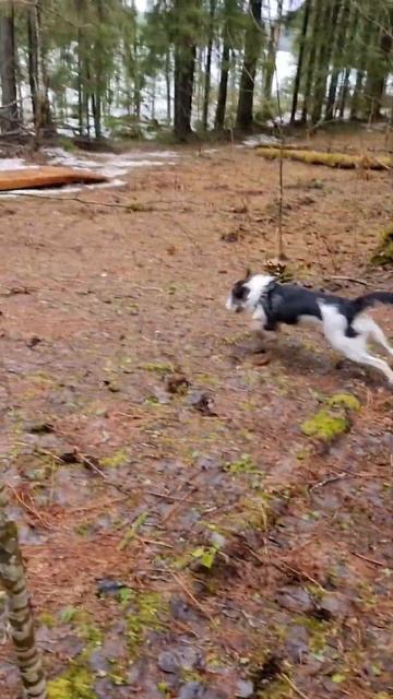 Когда растаял снег смотреть онлайн