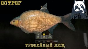 Русская Рыбалка 4. Острог троф Лещ. Точка+Сборка