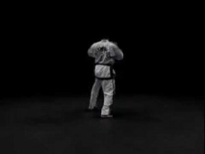 Чой Йонг видео тхэквондо туль черный пояс 3 Дан хьенг 46 движений комплекс Choi-Yong Чой ёнг Че юнг