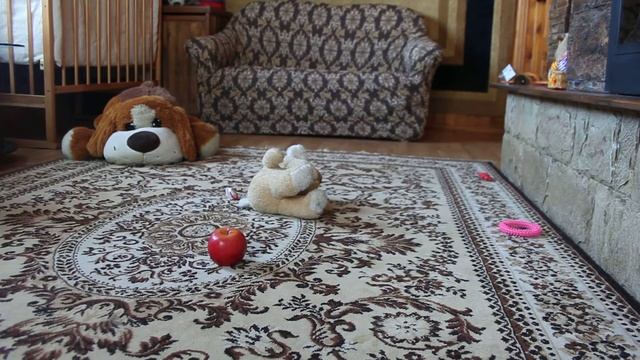 Евлампия и Еженка смотреть онлайн