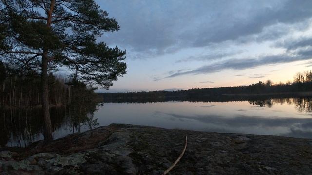 Кузнечное. Ленинградская область. 25.04.2025 г. Timelaps. смотреть онлайн