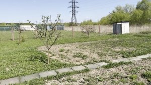 Насладились теплом и буде