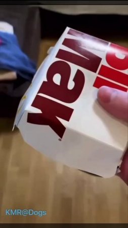“Королевски размер”🍔😠😂 ( видео про собак )