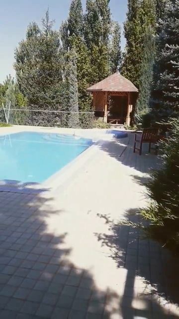 чимган дача смотреть онлайн