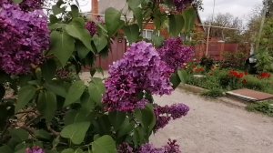 Станичный Влог. Весна, ни холодно ни жарко.