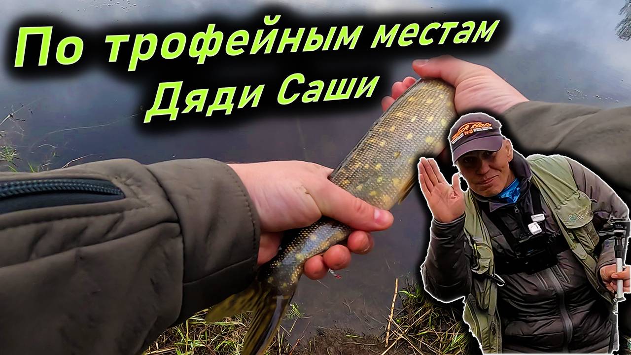 Рыбалка с Дядей Сашей по трофейным местам, как обычно для Смоленска