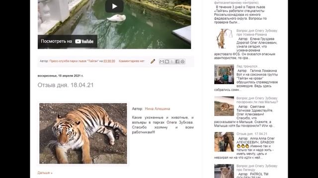 Олег Зубков: могут ли посетители уже видеть слоних смотреть онлайн