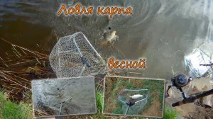 Ловля карпа весной 2 2025