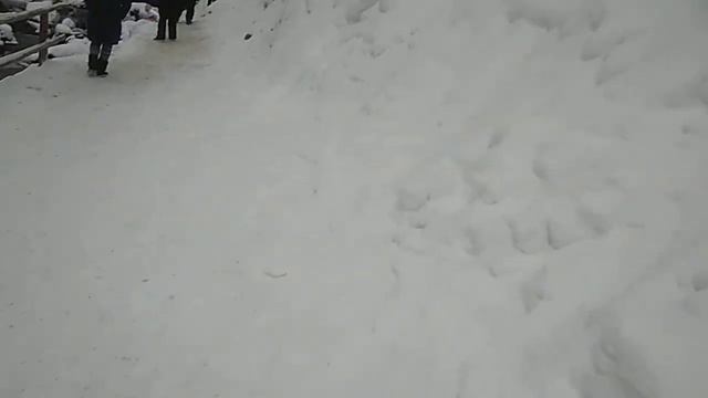 UKRAINE, CARPATHIANS. WATERFALL "SHIPOT". У водопада "Шипот" смотреть онлайн