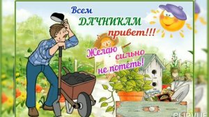 С ДОБРЫМ УТРОМ, ДОРОГИЕ ДАЧНИКИ И ДАЧНИЦЫ!!!