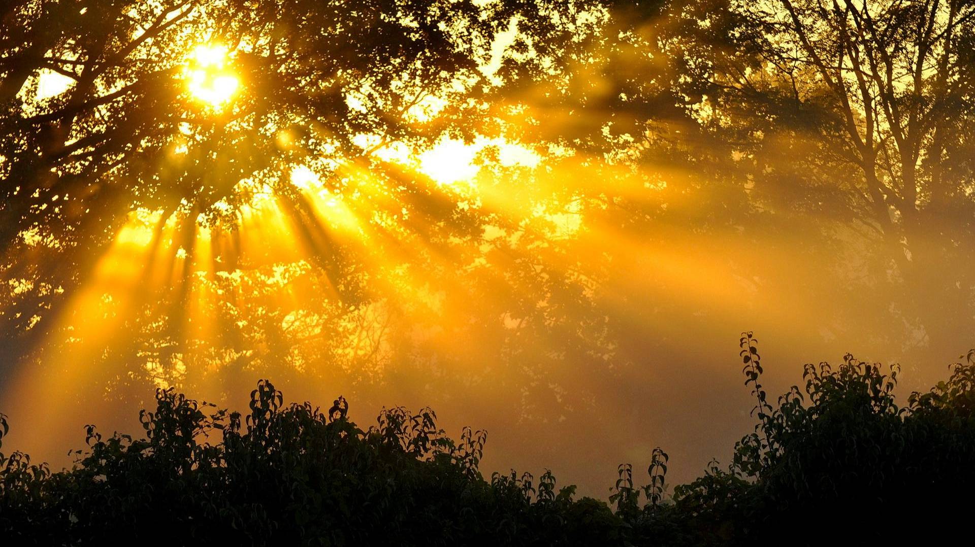 Продолжая жить