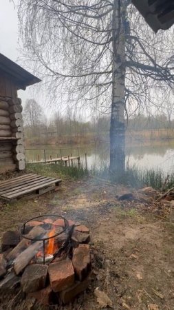 Весеннее утро на охоте