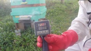 Обработка пчёл, щавелевой кислотой, из дым пушки, осень 2024 года