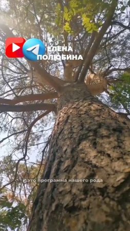 МНОГО ХОЧЕШЬ-МАЛО ПОЛУЧИШЬ. ЗНАКОМАЯ ФРАЗА?