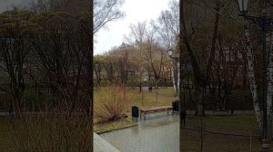 Райский сад #Shorts