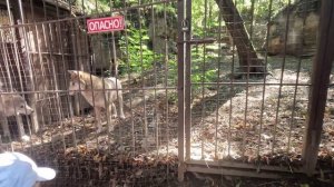 Майкоп. Отдых в Майкопе 2024г.