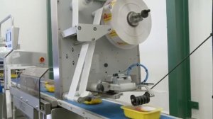 Трейсилер SEALPAC A6, автоматическая серия. Sealpac A-series traysealer A6. Упаковка птицы и мяса.