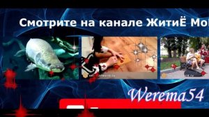 Мой путь...Блюзовая зарисовка....