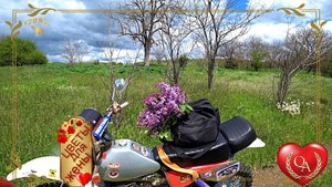 ДЕРЕВЕНСКАЯ СИРЕНЬ ДЛЯ МОЕЙ ЖЕНЫ