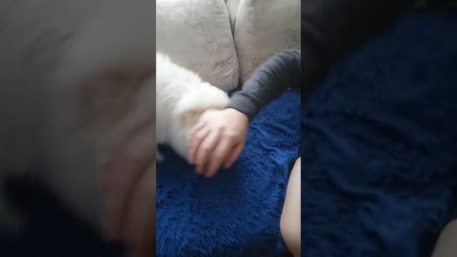 13 декабря 2020 г. смотреть онлайн