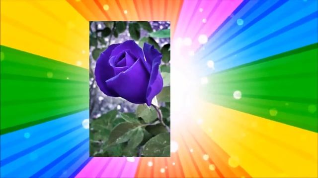 Услід обертаються чоловіки