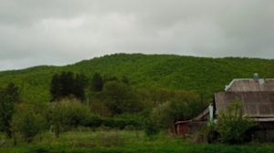 Весенний дождь