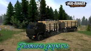 MudRunner. Лесные дороги