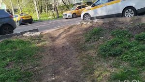 Французский бульдог и мопс: сходства и различия пород