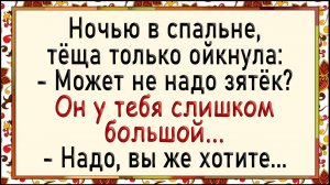 Как зять удивил тёщу 2 раза! Сборник свежих анекдотов! Юмор!