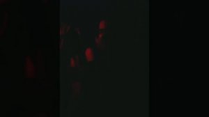 1000049987.mp4