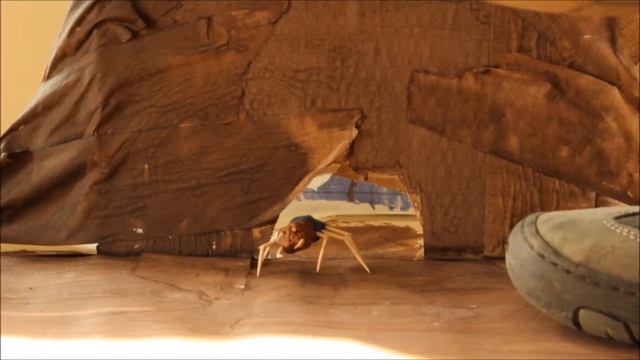 Таракан смотреть онлайн