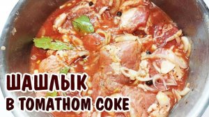 САМЫЙ ВКУСНЫЙ ШАШЛЫК В ТОМАТНОМ МАРИНАДЕ на маевку ПРОСТОЙ РЕЦЕПТ ШАШЛЫКА В ТОМАТНОМ СОКЕ