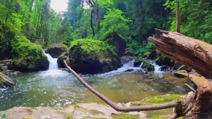 Красивая расслабляющая музыка - Перестаньте слишком много думать, Музыка для снятия стресса, Музыка