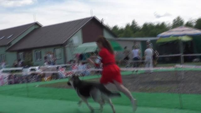 Расстановка смотреть онлайн