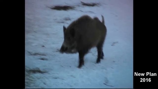 Лиса пришла часть 4 смотреть онлайн