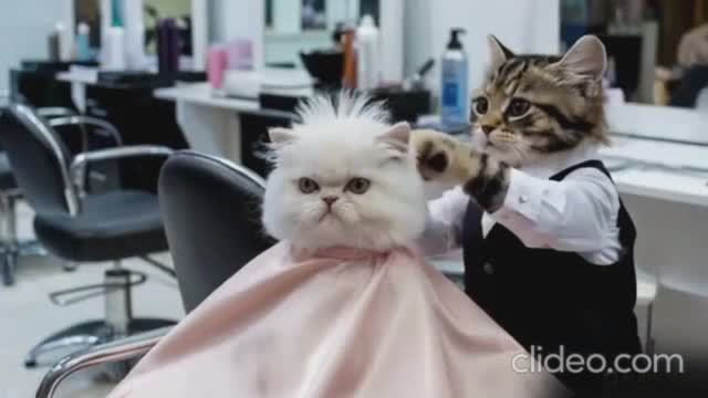 А. ЗАЦЕПИН