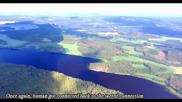 Joutsen Kultasiipi - The Swan Golden wing